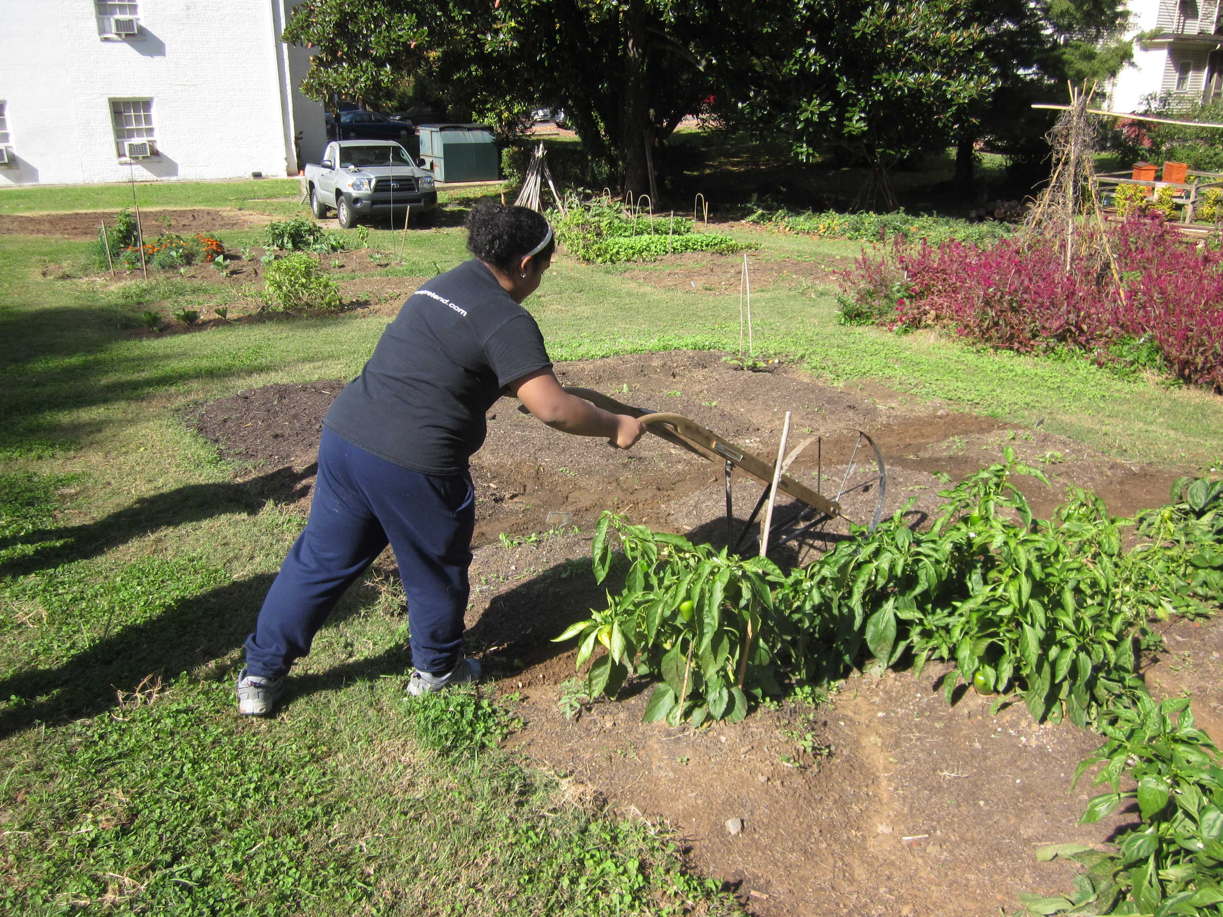 circlegarden1