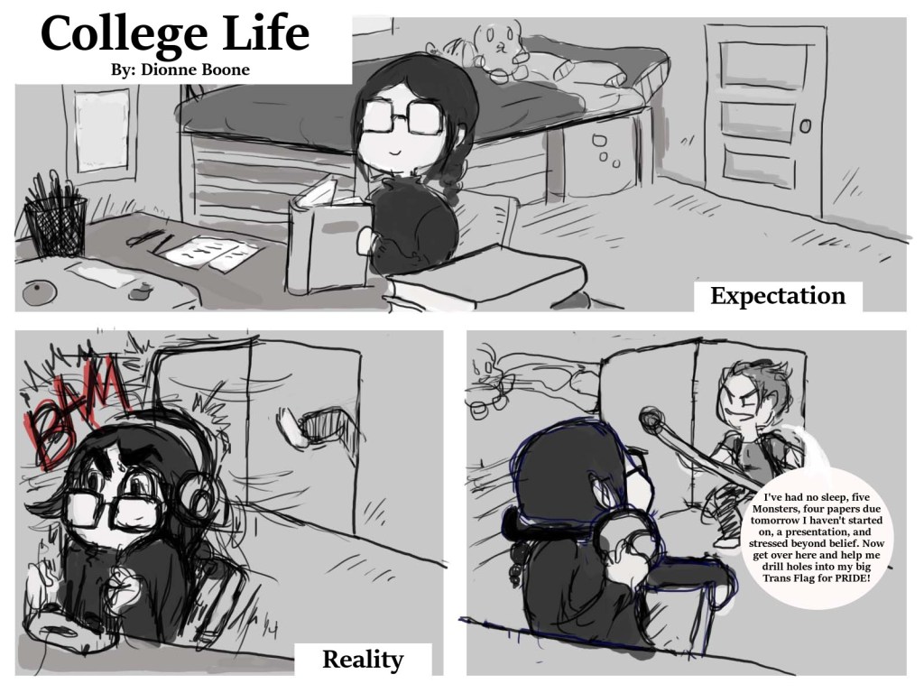 Comic Strip: College Expectations vs Reality