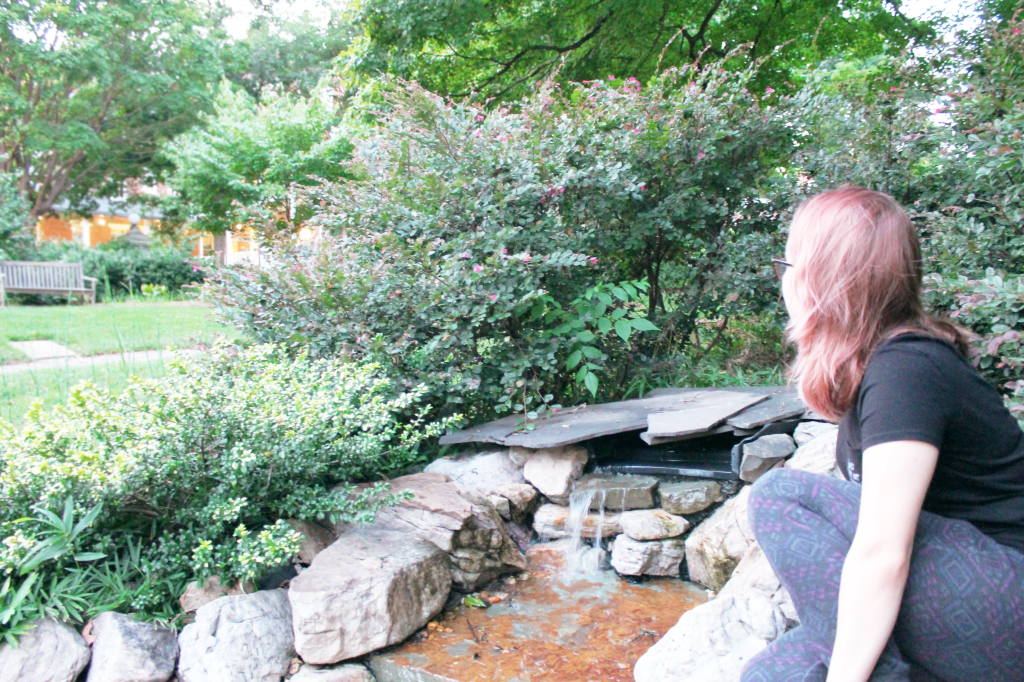 Wildlife Rambles with Julia Jennings