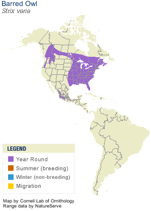 barredowlterritory