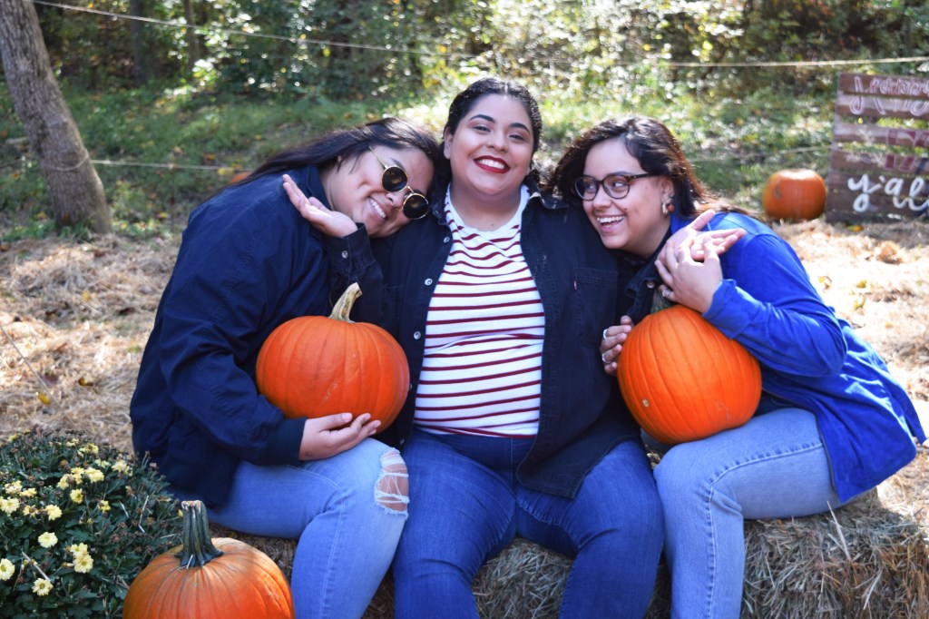 CAB Visit to Smith Hollow&nbsp;Farm