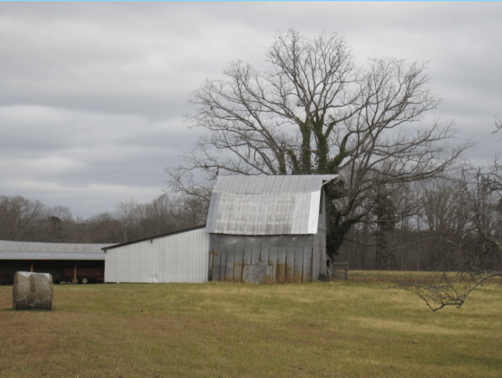 Hometown Highlights: Summerfield, NC