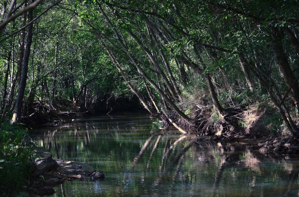 The Big Sweep of Salem Creek