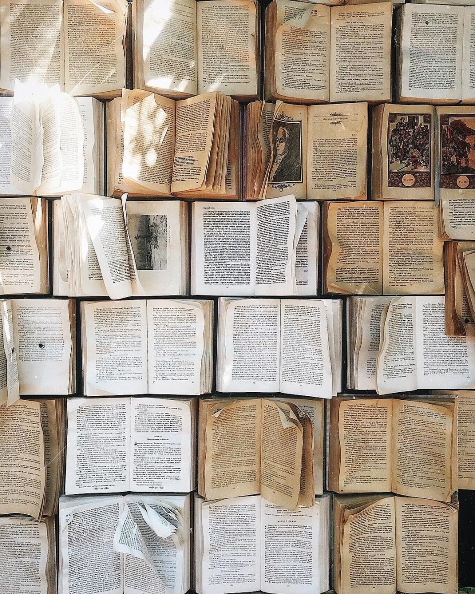Opinion | The Humanities Must Be Saved