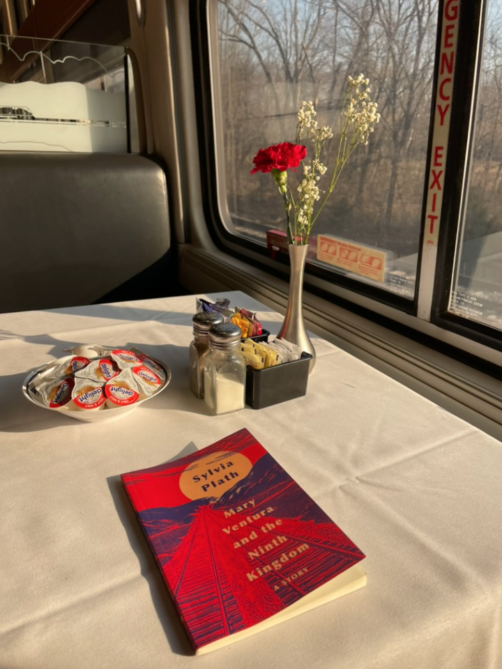 Taking The Amtrak Train to DC